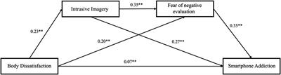 Body dissatisfaction and smartphone addiction: the mediation role of intrusive imagery and fear of negative evaluation